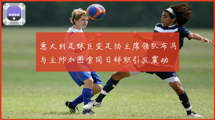 意大利足球巨变足协主席领队布冯与主帅加图索同日辞职引发震动