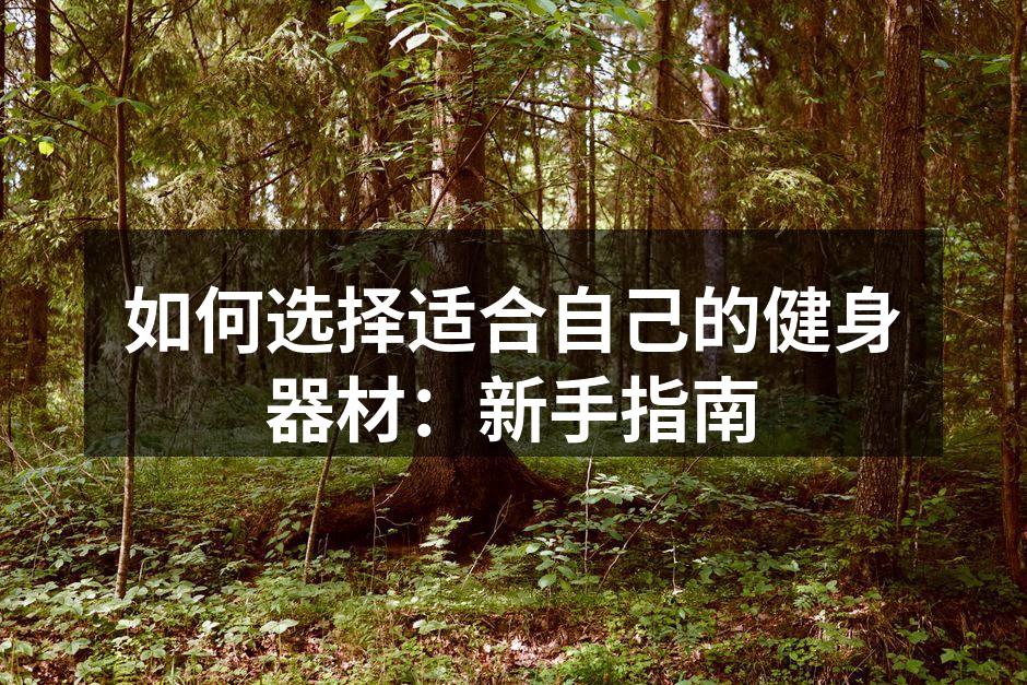 多种健身器材的选择