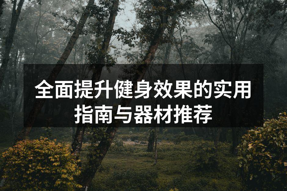 多样的健身器材选择