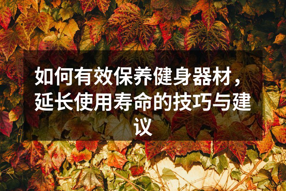 健身器材的清洁与保养技巧