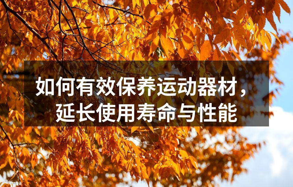 如何有效保养运动器材，延长使用寿命与性能